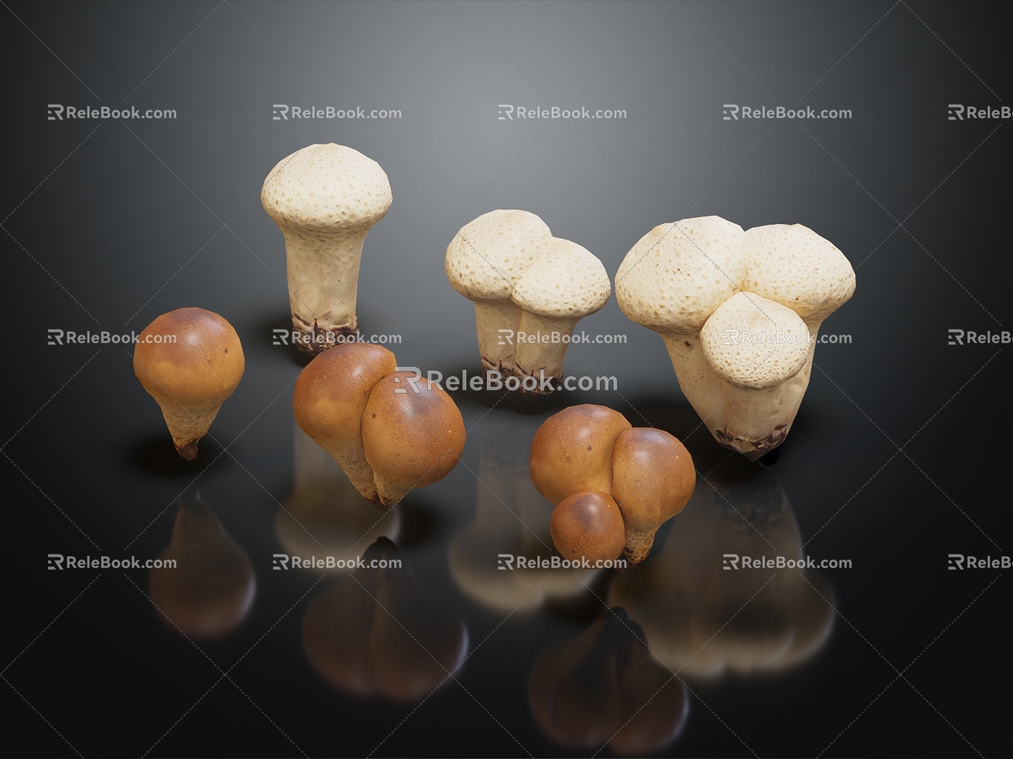 Modern Mushroom Straw Mushroom Poisonous Mushroom Plant Mushroom 3d model