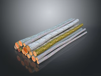 Natural Wood And Stone Long Strips Featuring Orange Cross Sections And Gray Textures 3d model