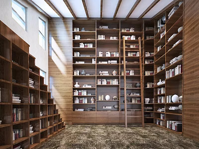 Book Art Interior Design Featuring Wooden Bookshelves Decorative Artworks And Natural Light 3d model