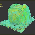 Carved Wood Stone With Natural Texture Yellowish Patches And Mossy Base