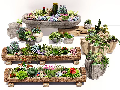 Bonsai Potted Plants Succulents and Cacti in Stone and Wooden Containers Decorative Display Arrangement 3d model
