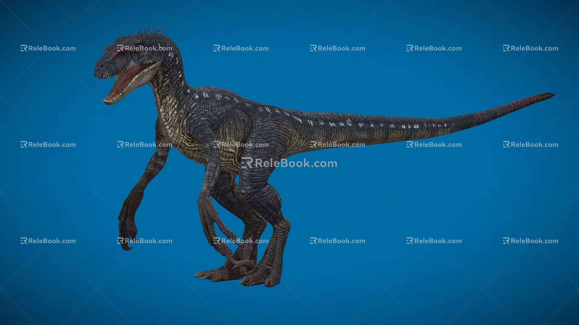 Velociraptor Speed Dragon Microraptor Dinosaur Reptile Ancient Biology Meat-eating Dinosaur Jurassic Low Face Number Low Model Simple Model Game Movie Realistic 3d model