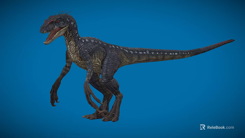 Scaly Reptile Dinosaur Model on Blue Background with Open Mouth Sharp Teeth and Long Tail 3d model 