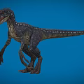 Velociraptor Speed Dragon Microraptor Dinosaur Reptile Ancient Biology Meat-eating Dinosaur Jurassic Low Face Number Low Model Simple Model Game Movie Realistic 3d model