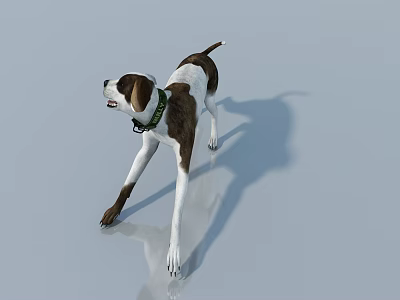 Reptile Lizard With Scaly Skin Crawling On Tree Branch In Wild 3d model