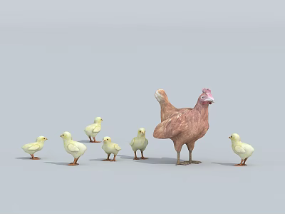 chicken cock chick poultry 3d model chicken cock chick poultry 3d model