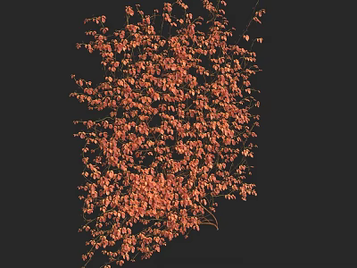 Orange Vines With Small Flowers And Berries Against Black Background 3d model