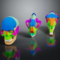 Colorful Anatomical Skull Organ Models With Hair Details On Black Reflective Background