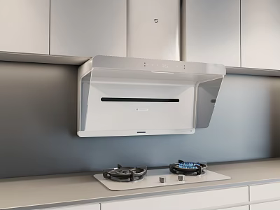 Contemporary Kitchen Featuring Stainless Steel Range Hood And Gas Stove Appliances 3d model