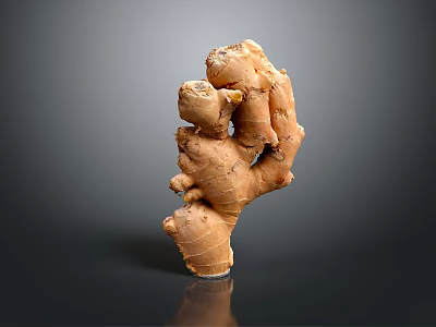 Fresh Whole Ginger Root With Natural Bumpy Texture And Brown Skin 3d model