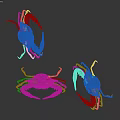 Three Colorful Reptiles Displaying Blue Appendages And Orange Claws On White Surface