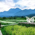 Butterfly Shaped Landscape Seats In Rice Fields With Mountain Backdrop And Natural Scenery