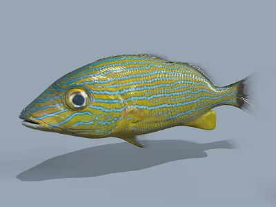 Vibrant Blue And Yellow Striped Aquatic Fish With Colorful Patterns 3d model