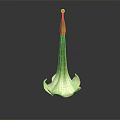 Elegant White Calla Lily Flower With Green Stem On Black Background And Reflection