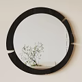 Circular Mirror with Black Wooden Frame and Reflection of Green Plants on Light Colored Wall