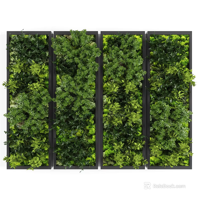 Lush Vertical Green Plant Wall With Diverse Foliage And Modular Panel Design 3d model 