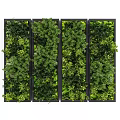 Lush Vertical Green Plant Wall With Diverse Foliage And Modular Panel Design