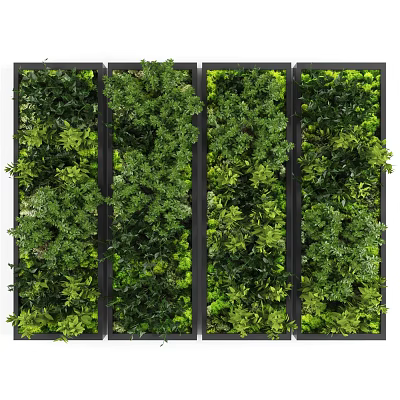 Lush Vertical Green Plant Wall With Diverse Foliage And Modular Panel Design 3d model