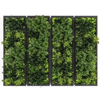 Modern Plant Wall 3d model