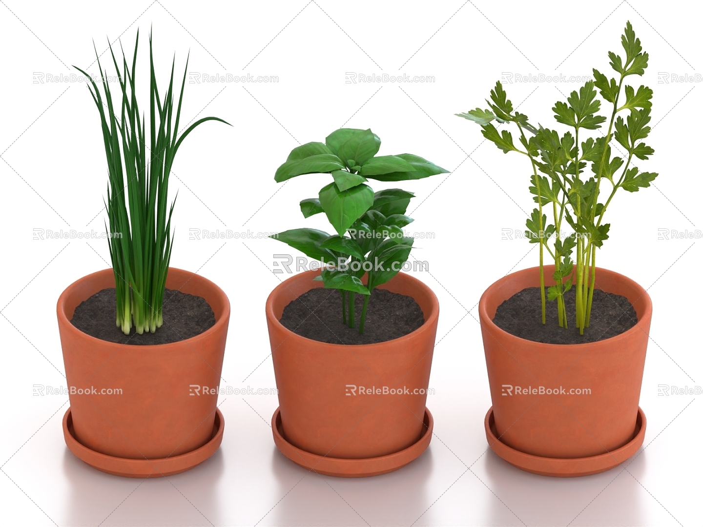 Potted Onion Potted Celery Bonsai Potted Vegetable Chives Welsh Onions 3d model