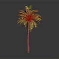 Tall Tropical Palm Tree With Green Yellow Leaves Brown Trunk Isolated On Grey Background
