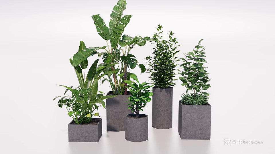 Various Green Potted Plants in Gray Concrete Square and Cylindrical Pots 3d model 