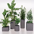 Various Green Potted Plants in Gray Concrete Square and Cylindrical Pots