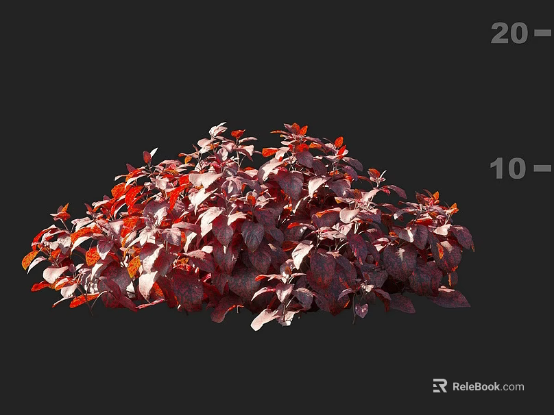 Dense Plant With Red And Purple Leaves Against Dark Background 3d model 