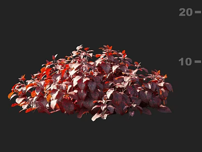 Dense Plant With Red And Purple Leaves Against Dark Background 3d model
