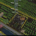 Scenic Rural Landscape With Vast Farmland Yellow Flower Fields Power Tower And Small Cottage