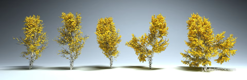 Three Trees With White Trunks And Yellow Leaves Against Gray Background 3d model