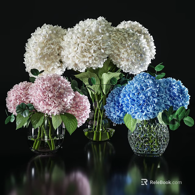 White Pink And Blue Hydrangeas In Glass Vases On Black Tabletop With Green Leaves 3d model 