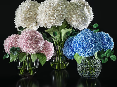 White Pink And Blue Hydrangeas In Glass Vases On Black Tabletop With Green Leaves 3d model