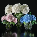 White Pink And Blue Hydrangeas In Glass Vases On Black Tabletop With Green Leaves
