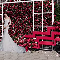 Romantic Outdoor Photo Check-in Spot With Rose Covered Wall White Frame And Red Bench
