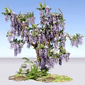 Lush Arbor Covered With Purple Flowers Green Plants Stones And Stone Lantern