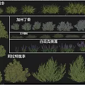 Different Types of Shrubs Including California Lilac Female Rhododendron and White Flower Spiraea
