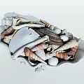 Modern Shell 3d model