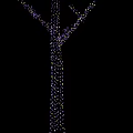 Tree Shaped Decorative Lights With Purple And Yellow Bulbs On Black Background