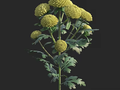 Yellow Chrysanthemum Flowers In Vase With Green Leaves And Stems 3d model