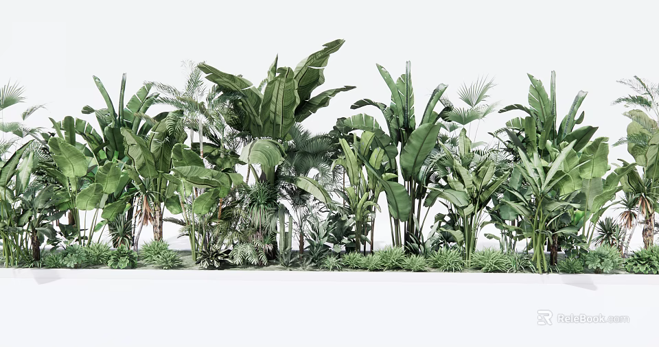 Lush Tropical Green Plants With Large Leaves And Diverse Foliage Arrangement 3d model 