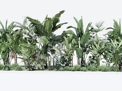 Lush Tropical Green Plants With Large Leaves And Diverse Foliage Arrangement 3d model