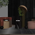 Modern Brown Single Sofa With Round Metal Base Small Table And Green Plant
