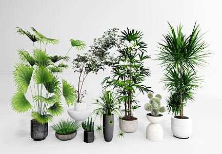 Modern potted plant potted combination bonsai 3d model