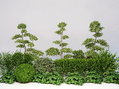 Modern plant flower border multi-head modeling tree green plant combination tree shrub model