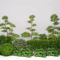 Modern plant flower border multi-head modeling tree green plant combination tree shrub 3d model