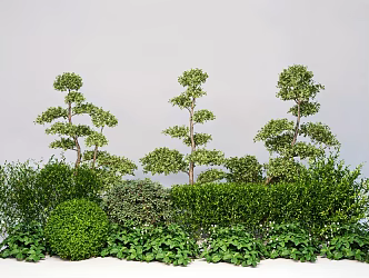 Modern plant flower border multi-head modeling tree green plant combination tree shrub 3d model