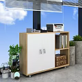 Modern Entryway Side Cabinet With White Doors Drawers Shelves Folders And Green Plants By Window