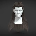 3D Human Head Model With Detailed Facial Features And Braided Brown Hair