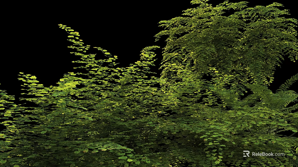 Lush Green Shrubs With Dense Vibrant Foliage In Natural Garden Setting 3d model 